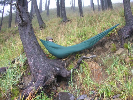 More Hammock Bliss